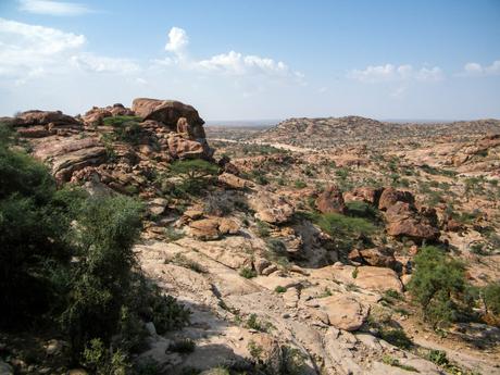 A wide-angle shot of a rocky, desert-like terrain with sparse acacia trees under a bright blue sky, typical of the Somaliland landscape.