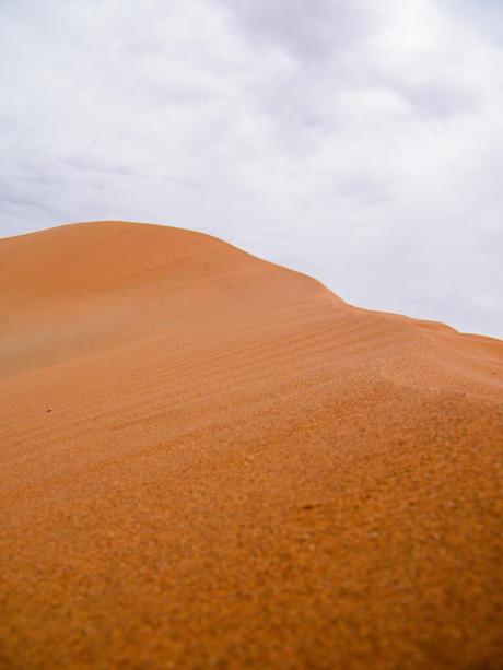 A close-up shot of a large, smooth sand dune with a gentle curve, under a soft, overcast sky.