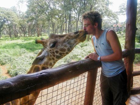 Alex Tiffany standing on a wooden platform, leaning over a fence and kissing a giraffe, with a lush green forest in the background.