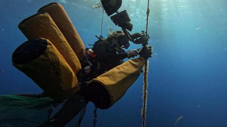 As coral reefs face unprecedented heat, scientists are experimenting with new ways to protect them