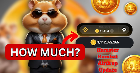 How Much Can You Earn with Your Hamster Kombat Coin Balance