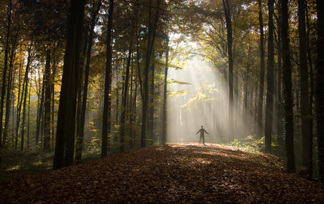 Forest Bathing, Hiking, It's Good for You, Lisa Orchard