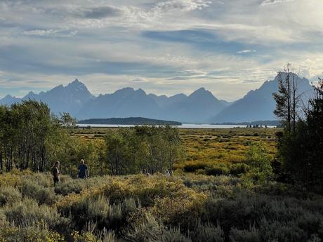 A group of people walks through a sagebrush meadow with the towering Grand Teton mountains in the background.