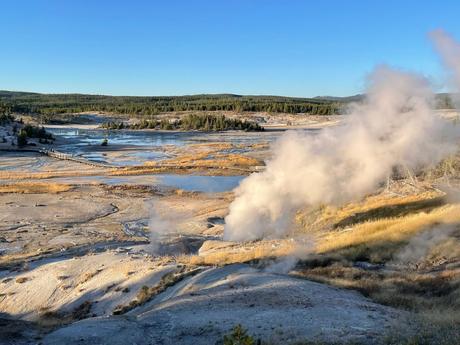 A geyser actively emitting steam, with wide, open plains, distant pools of water, and trees in the background.