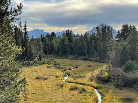 A serene meadow with a winding creek, flanked by tall green trees, and mountains in the distance under a cloudy sky.