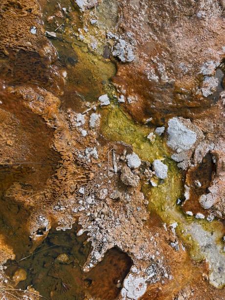 A close-up of geothermal features in Yellowstone, showing various textures and colors, including rust, yellow, and gray formations.