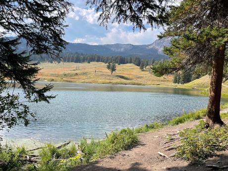 A lake framed by trees, with grassy hills and a mountain in the background on a sunny day.