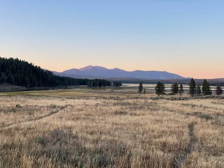 A wide-open field at sunset, with soft golden grasses and a distant mountain range, bordered by dark green forests and a pastel sky.