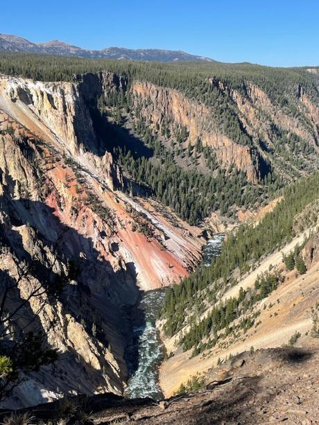 A steep canyon with colorful rock layers, with a river cutting through the bottom, showcasing red, orange, and beige cliffs against a forested background.