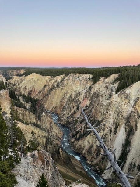 A panoramic view of the Grand Canyon of Yellowstone with steep, rocky cliffs, and a river winding through the base, under a pastel-colored sunset sky.