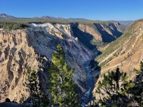 The Yellowstone Canyon, lined with steep, multi-colored rock formations and pine trees under a blue sky.