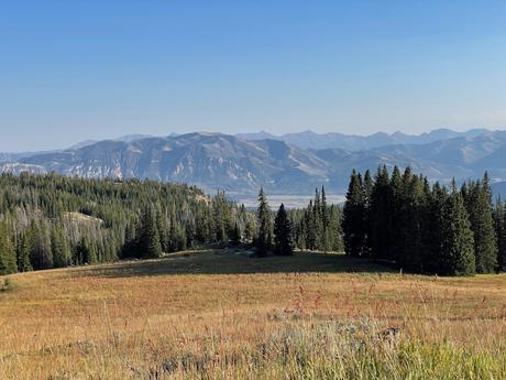 A wide open field leading into distant forested hills, with mountain peaks in the far distance under a bright blue sky.