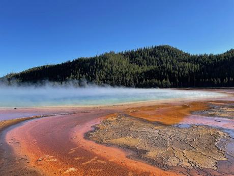 A picturesque hot spring in Yellowstone National Park with swirling colors of orange and red in the foreground, a layer of mist rising, and dense forest in the background.