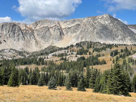 A breathtaking view of the rugged, rocky mountains of the Snowy Range, including Medicine Bow Peak, towering over a forested area, with grassy meadows and trees in the foreground.