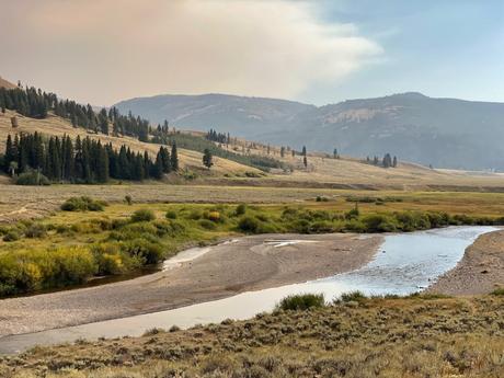 A peaceful river running through a wide open valley, surrounded by patches of green shrubs and trees, with distant hills under a partly cloudy sky.