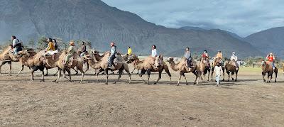 Shrines of Ladakh - Part III - Diskit Monastery, Nubra Valley