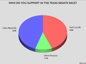 Poll Allred Point Over Cruz Texas