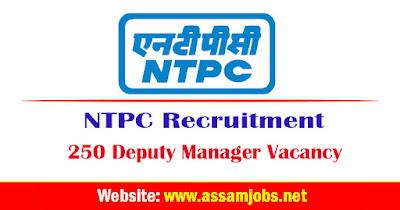 NTPC Recruitment 2024 | 250 Deputy Manager Posts, Online Apply