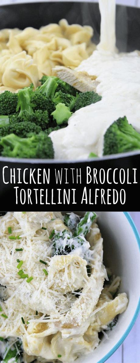 Chicken Broccoli Tortellini Alfredo