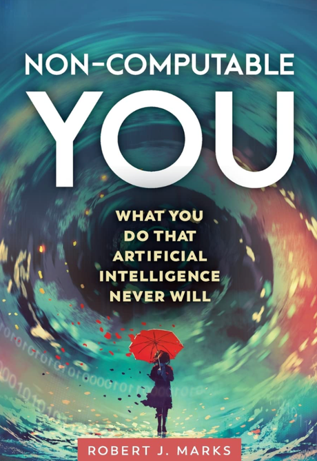 Book Review: Non-Computable You