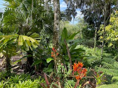 NATURAL BEAUTY IN ORLANDO, FLORIDA: Exploring Leu Gardens and More