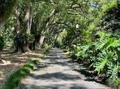 NATURAL BEAUTY ORLANDO, FLORIDA: Exploring Gardens More