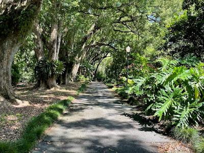 NATURAL BEAUTY IN ORLANDO, FLORIDA: Exploring Leu Gardens and More