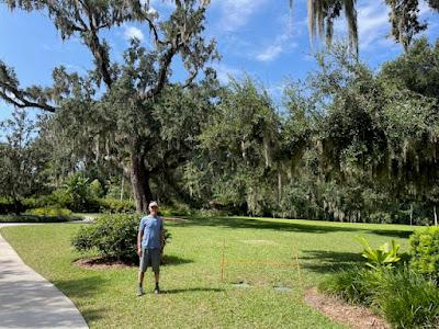 NATURAL BEAUTY IN ORLANDO, FLORIDA: Exploring Leu Gardens and More