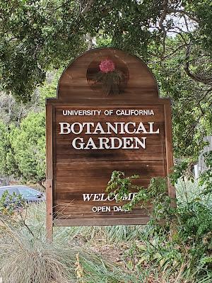 AROUND THE WORLD WITH PLANTS at the UC Botanical Garden, Berkeley, CA