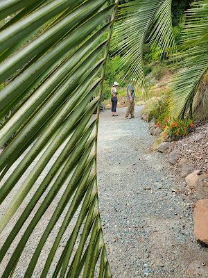 AROUND THE WORLD WITH PLANTS at the UC Botanical Garden, Berkeley, CA