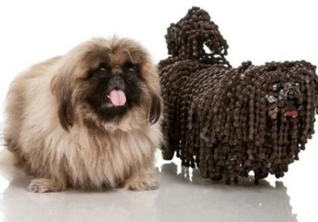 Dog Made of Bicycle Chains