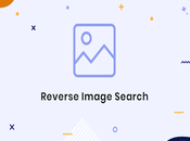 Find Copied Images Using Reverse Image Search?