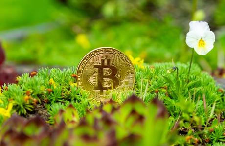 Can cryptocurrencies ever be green?