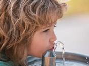 Water Contamination U.S. Schools Case Filters