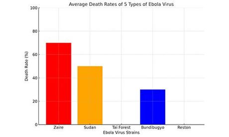 Ebola Virus Disease: Everything You Need to Know