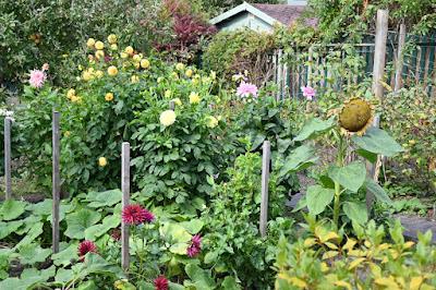 A morning at Hill Close Gardens