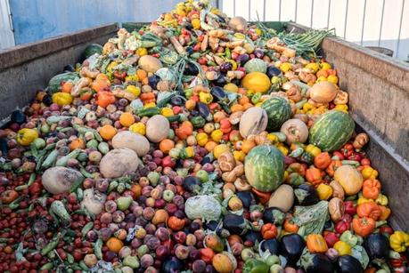 The Problem With Food Waste on a Grand Scale