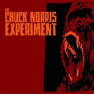 A Ripple Conversation With Chuck Ransom From The Chuck Norris Experiment