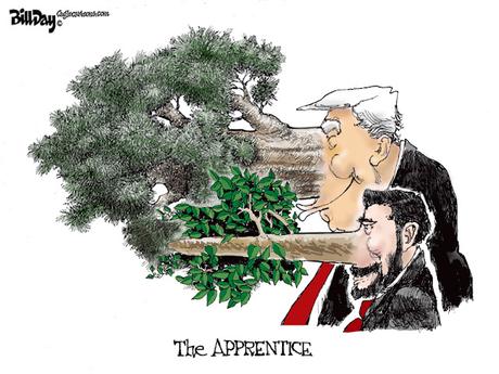 The Apprentice