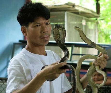 Ten Dangerous Rituals Involving Snakes from Around the World