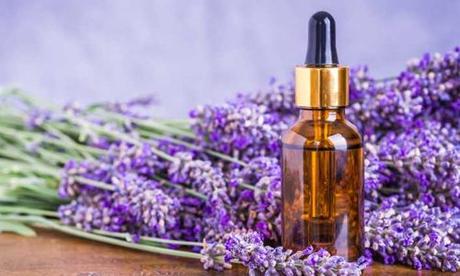 Lavender Oil Benefits