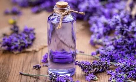 Lavender Oil Benefits