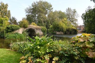 An afternoon at The Mill Garden, Warwick