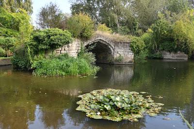 An afternoon at The Mill Garden, Warwick