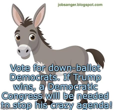 It's Important To Vote For Down-Ballot Democrats