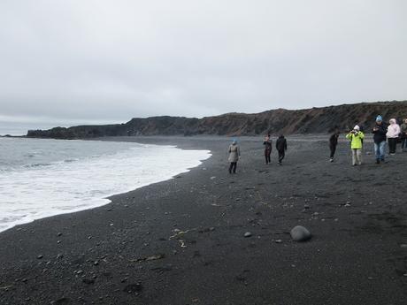 Day Trip to the Snæfellsnes Peninsula