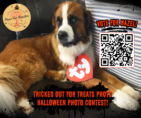 Vote for Hazel dog in the Trupanion Halloween costume photo contest