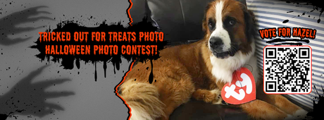 Vote for Hazel dog in the Trupanion Halloween costume photo contest