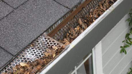 The Importance of Regular Gutter Cleaning for Home Maintenance