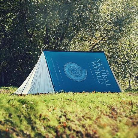 Book Shaped Tent